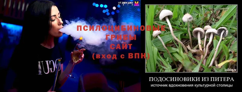 Галлюциногенные грибы Cubensis  наркошоп  omg tor  Удачный 